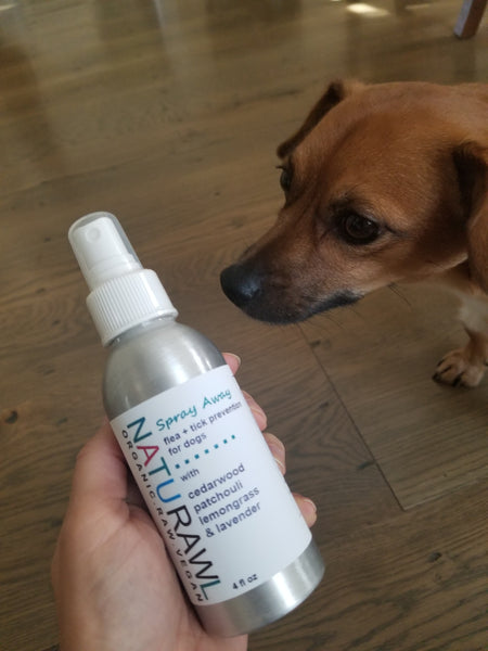 Flea + Tick Prevention For Dogs