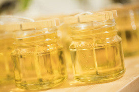 Sycamore Fig Soy Candle