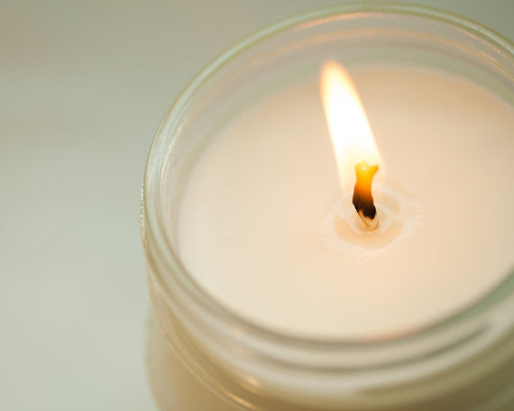 Sycamore Fig Soy Candle