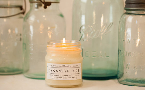 Sycamore Fig Soy Candle
